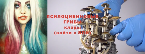 ГАЛЛЮЦИНОГЕННЫЕ ГРИБЫ Лабытнанги