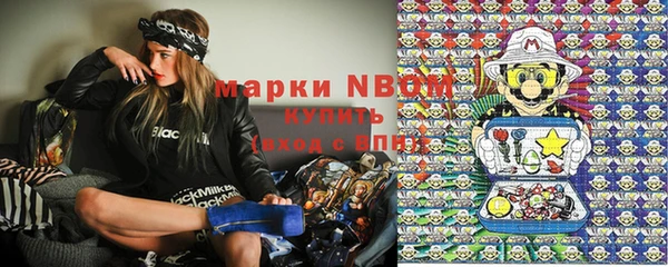 ГАЛЛЮЦИНОГЕННЫЕ ГРИБЫ Лабытнанги